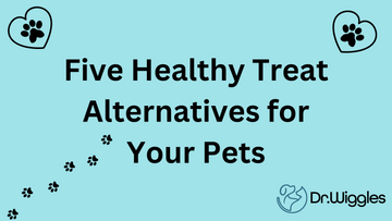 Nourishing Your Four-Legged Friends: 5 Healthy Snacks for Happy Pets