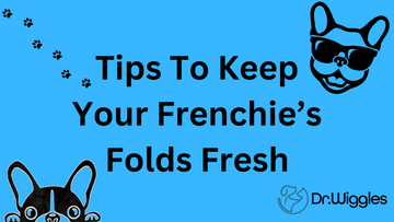 Tips to Keep Your Frenchie's Folds Fresh