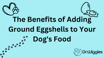 The Benefits of Adding Ground Eggshells to Your Dog's Food