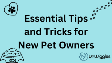 Essential Tips and Tricks for New Pet Owners