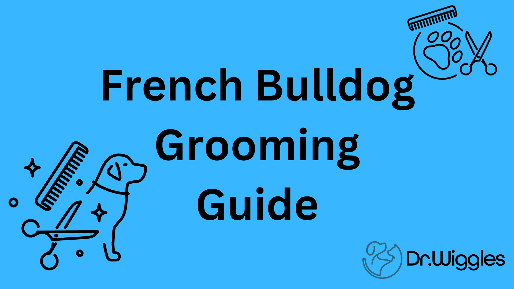 Frenchie Grooming Hacks: Keeping Your French Bulldog Fabulous and Fresh